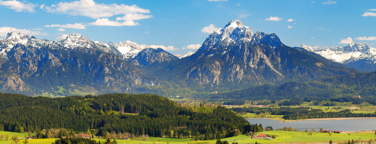 SommerSpecial BoA Proceedings & Decisions