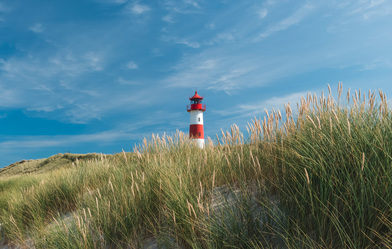Lehrgang 21. SommerSpecial: Vergaberecht